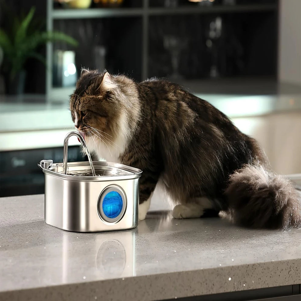 Cat Water Fountain