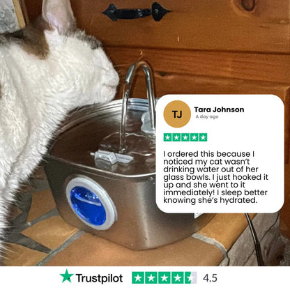 Cat Water Fountain