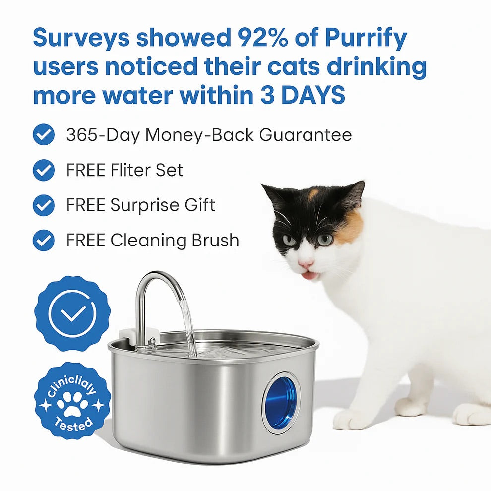 Cat Water Fountain