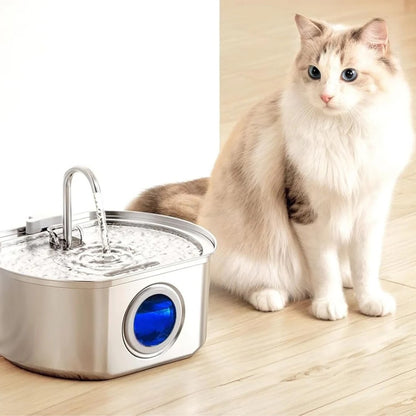 Cat Water Fountain